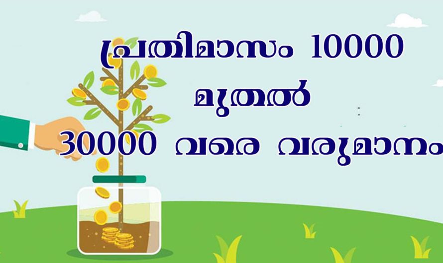 പ്രതിമാസം 10000 മുതൽ 30000 വരെ വരുമാനം