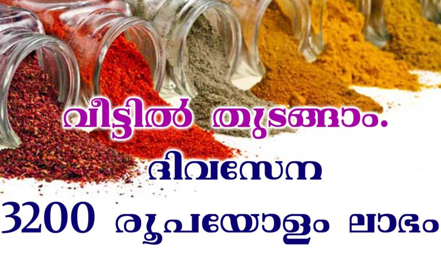 ഒരു ലക്ഷം വരുമാനം വീട്ടിൽ തുടങ്ങാം.