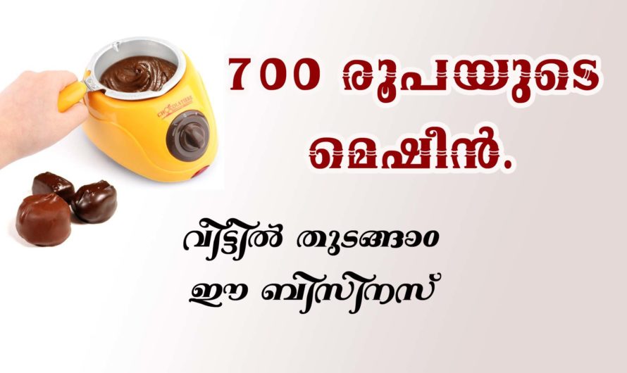 ചെറിയ മുതൽ മുടക്കിൽ ബിസ്സിനെസ്സ് തുടങ്ങാം