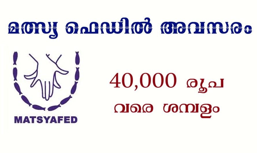 മത്സ്യ ഫെഡില്‍ അവസരം