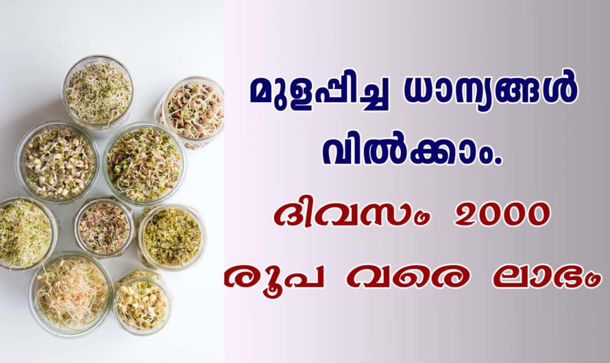 മുളപ്പിച്ച ധാന്യങ്ങൾ വിൽക്കാം.