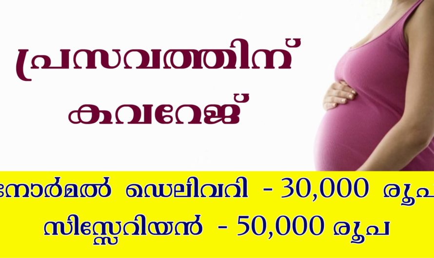 പ്രസവത്തിനും കവറേജ് ലഭിക്കുന്ന പോളിസികൾ.