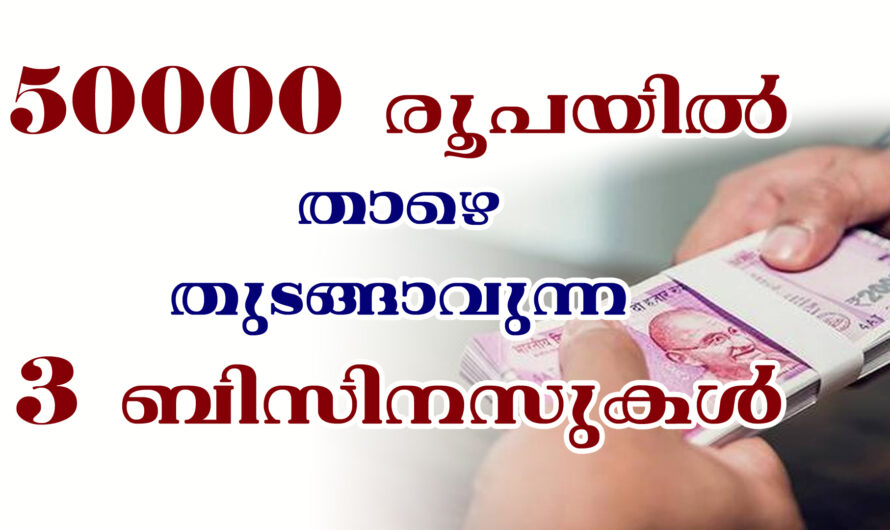 50,000 രൂപയിൽ താഴെ തുടങ്ങാൻ കഴിയുന്ന 3 ബിസിനസ്സുകൾ
