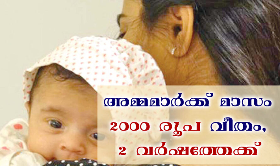 മാതൃജ്യോതി പദ്ധതി വഴി 48,000 രൂപ സഹായം