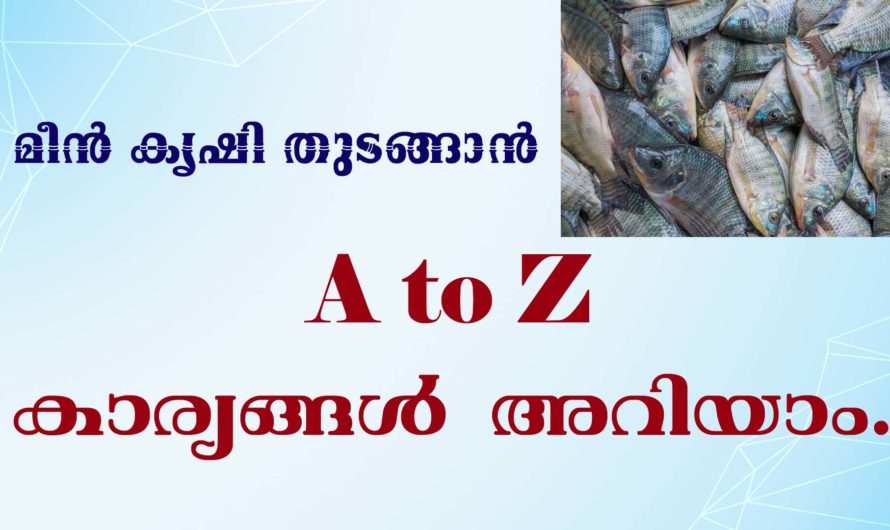 മീൻ കൃഷി നടത്തുന്നവർ അറിയേണ്ടതെല്ലാം.