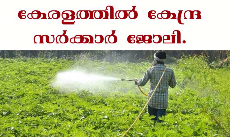 കാസർഗോഡ് കേന്ദ്ര സർക്കാർ  ജോലി നേടാം