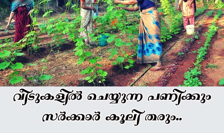 വീടുകളിൽ ജോലി ചെയ്ത് വേദനം ലഭിക്കും