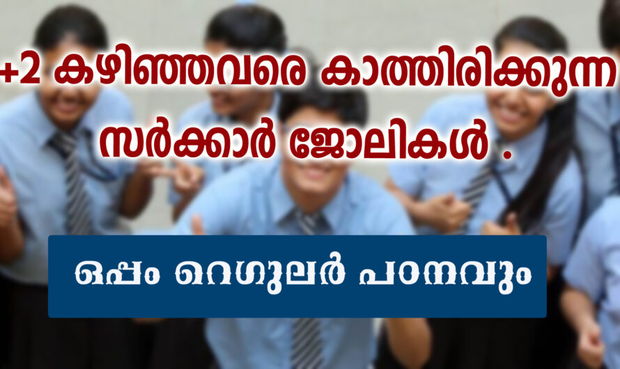 പ്ലസ് ടു കഴിഞ്ഞാൽ കാത്തിരിക്കുന്നു ജോലികൾ