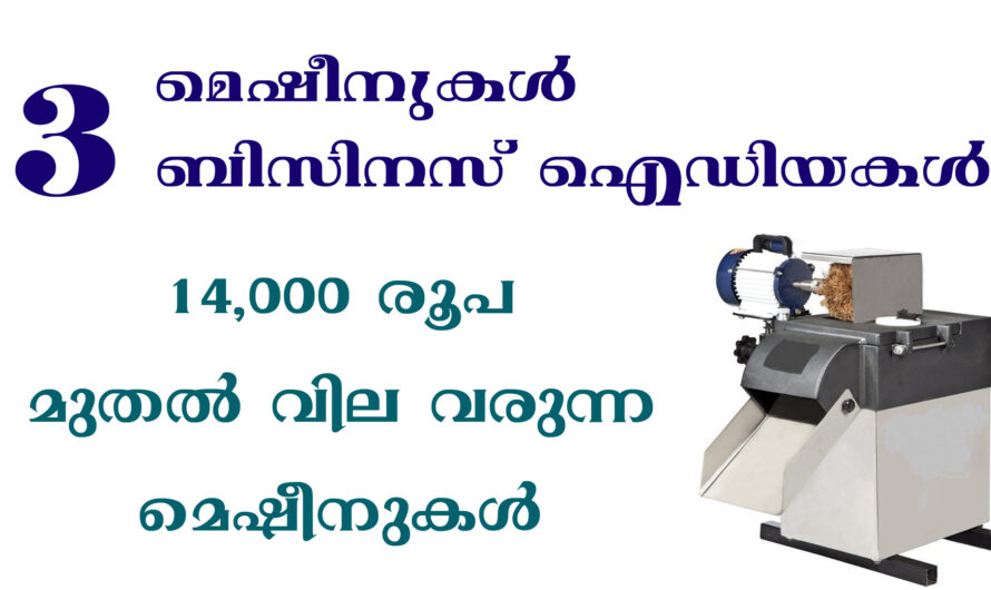 ചെറിയ ചിലവിൽ തുടങ്ങാൻ കഴിയുന്ന ബിസിനസ് ഐഡിയകൾ