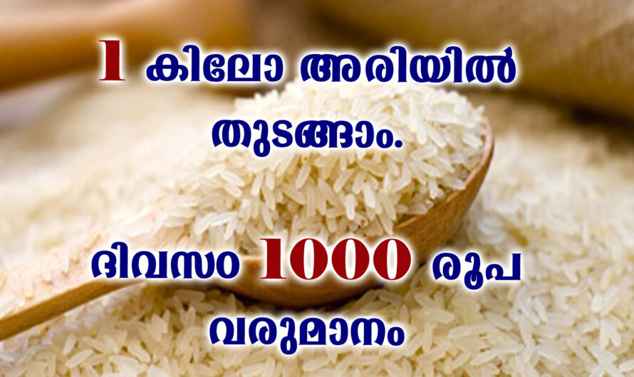ഒരു കിലോ അരിപ്പൊടികൊണ്ട് ബിസിനെസ്സ് തുടങ്ങാം