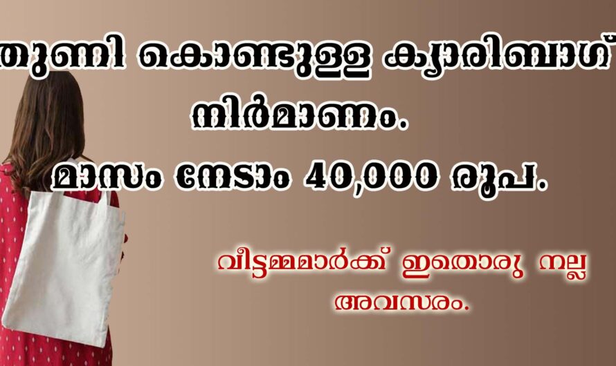 തുണി കൊണ്ടുള്ള ക്യാരിബാഗ് സംരംഭം.
