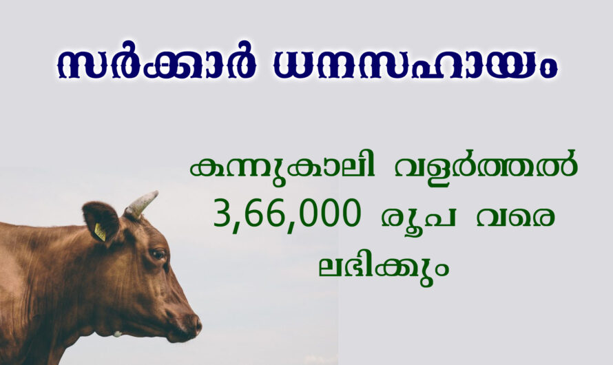 കന്നുകാലി വളർത്തൽ, സർക്കാർ പദ്ധതി വഴി ധനസഹായം