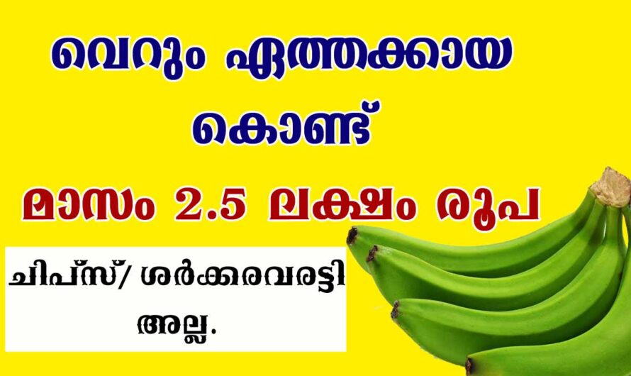 പച്ച ഏത്തക്കായ കൊണ്ട് പുതിയ ഉൽപ്പന്നം