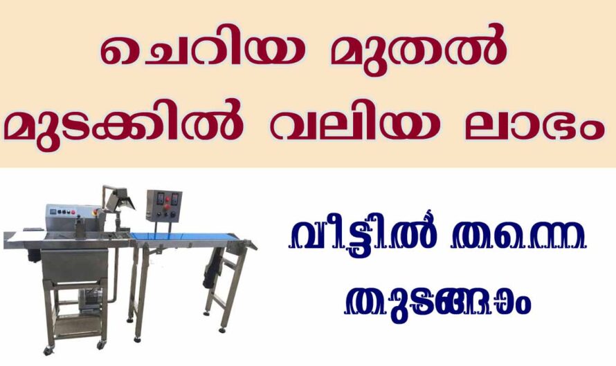 ചെറിയ മുതൽമുടക്ക് വലിയ ലാഭം
