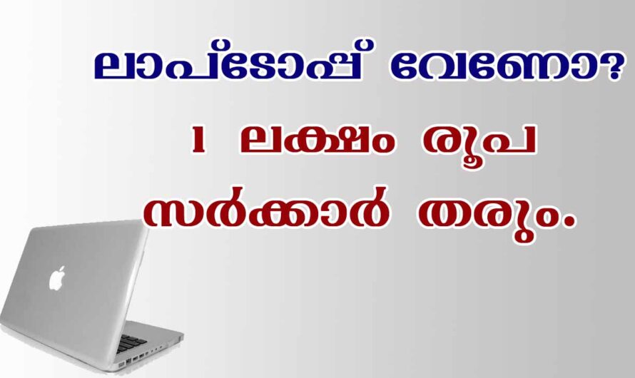സർക്കാർ ഒരു ലക്ഷം വരെ വായ്‌പ നൽകുന്നു