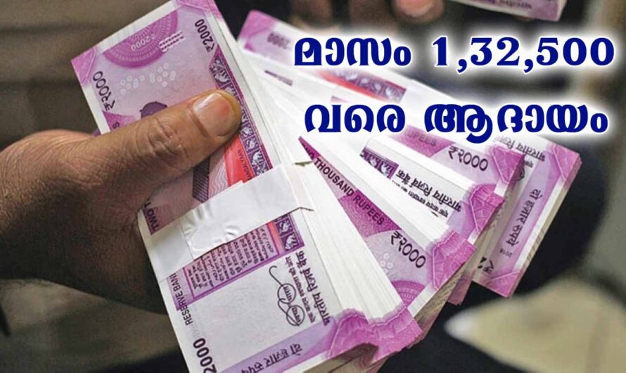 സ്ത്രീകൾക്ക് തുടങ്ങാം ഈ സംരംഭം