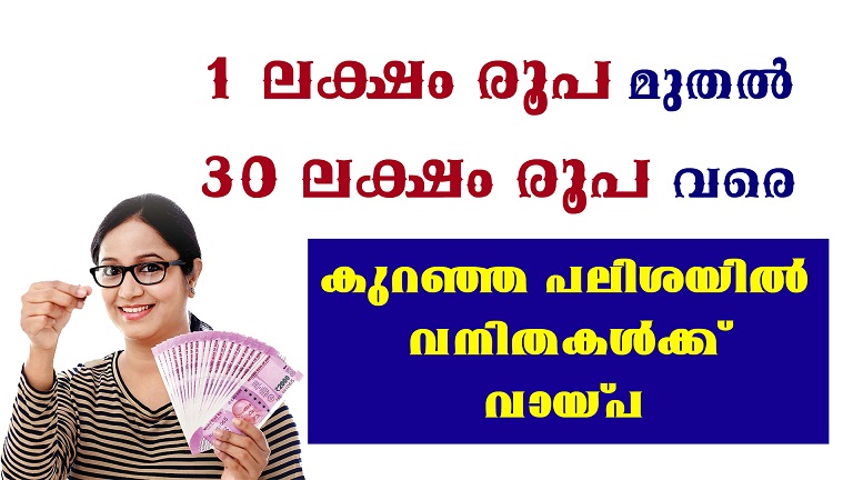 വനിതകൾക്ക് ലഭിക്കുന്ന ഗവൺമെൻറ് വായ്പ