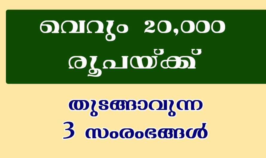 20,000 രൂപയ്ക്ക് 3 ബിസിനസ്സുകൾ