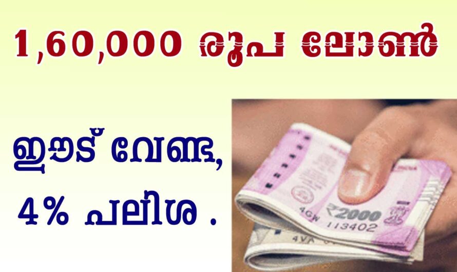 160000 രൂപ ലോൺ, കേന്ദ്ര സർക്കാരിൻറെ പദ്ധതി