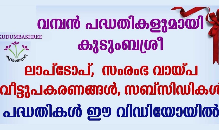 കുടുംബശ്രീ വഴി വീടുകളിൽ എത്തുന്ന വിവിധ ക്ഷേമ പദ്ധതികൾ