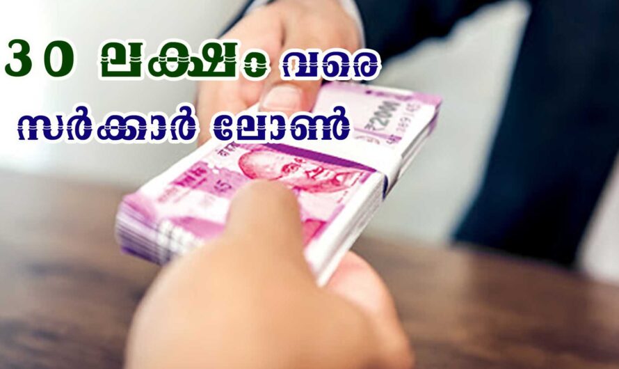 30 ലക്ഷം രൂപ വരെ സർക്കാർ വായ്പ