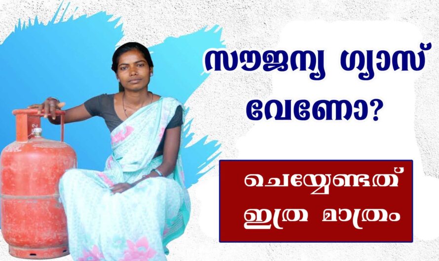 ഒരു കോടി കുടുംബങ്ങളിൽ സൗജന്യ ഗ്യാസ്