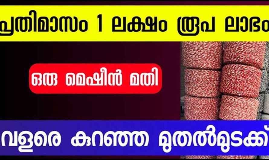 1 ലക്ഷം ലാഭമുള്ള ബിസിനസ്