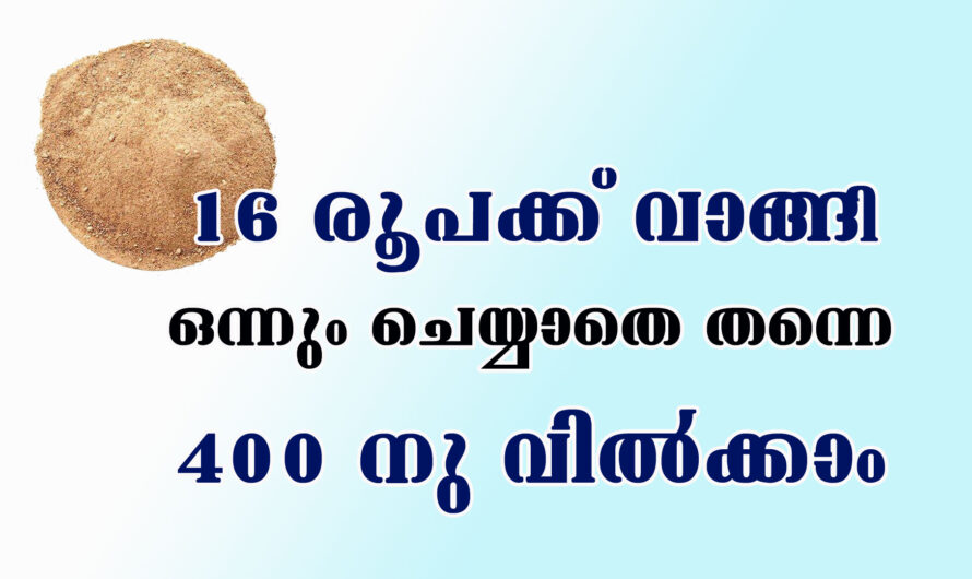 16 നു വാങ്ങി 400 നു വിൽക്കാൻ കഴിയുന്ന ഒരു പ്രൊഡക്ടിന്റെ ബിസിനസ് ആശയം.