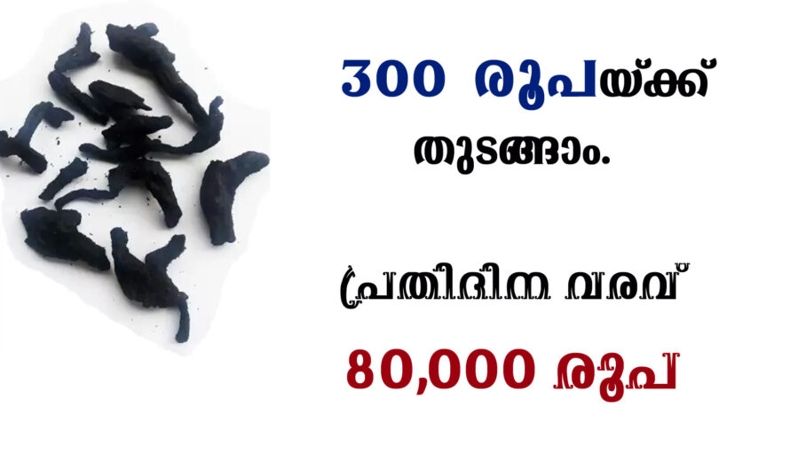 ഇങ്ങനെയൊരു ബിസിനസ് ആർക്കും അറിയില്ല. തുടങ്ങാൻ വെറും 300 രൂപ മതി.