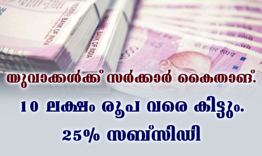 സംസ്ഥാന സർക്കാർ കൈത്താങ്ങ്, 25% സബ്‌സിഡി ലഭിക്കുന്ന ലോൺ പദ്ധതി.