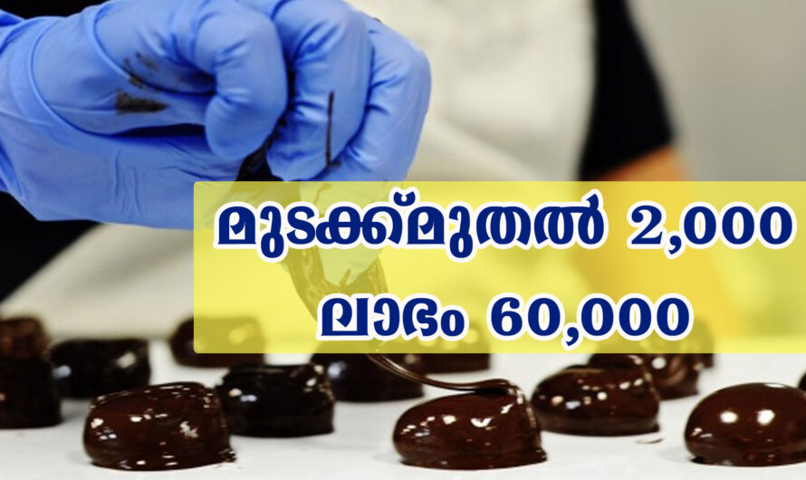 വീട്ടിലിരുന്ന് ചെയ്യാം, മികച്ച വരുമാനം ലഭിക്കുന്ന ബിസിനസ്.