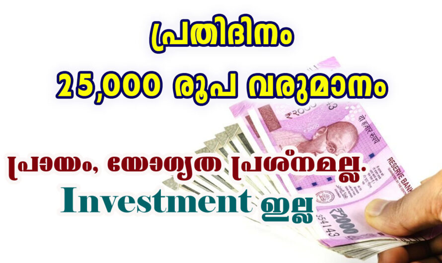 ദിവസേന 25000 രൂപ വരുമാനം നേടാം.