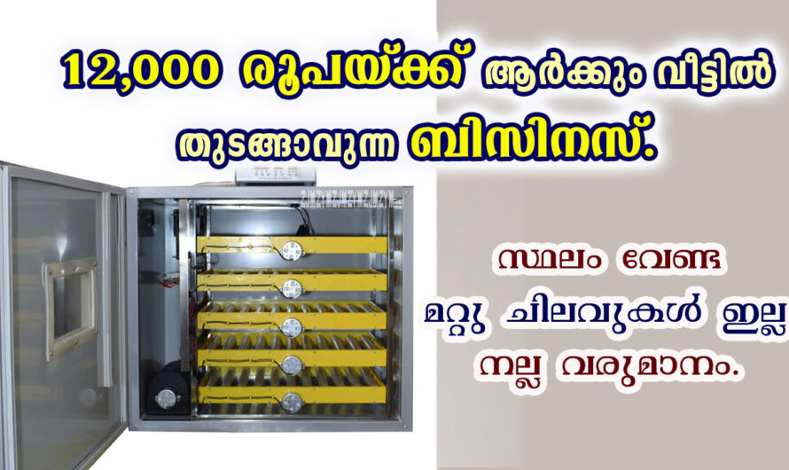 കുട്ടികൾക്ക് മുതൽ മുതിർന്നവർക്ക് വരെ തുടങ്ങാൻ കഴിയുന്ന സംരംഭം, മികച്ച വരുമാനം.