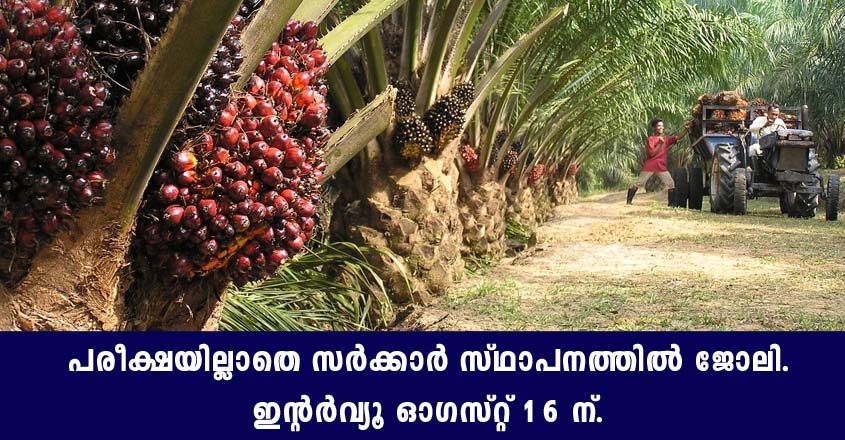 കേരളത്തിൽ ഓയിൽ പാം ഇന്ത്യ ലിമിറ്റഡിൽ ജോലി നേടാം