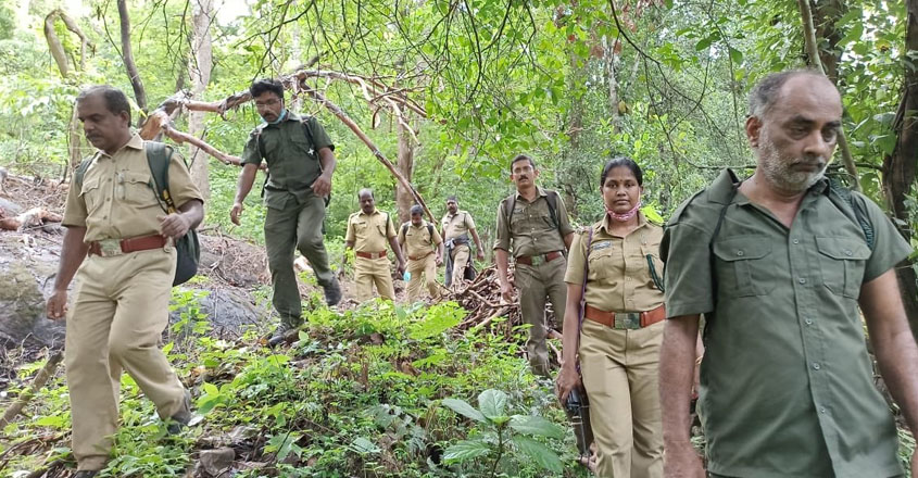 കേരള ഫോറെസ്റ് വകുപ്പിൽ ജോലി നേടാം- യോഗ്യത ഏഴാം ക്ലാസ്