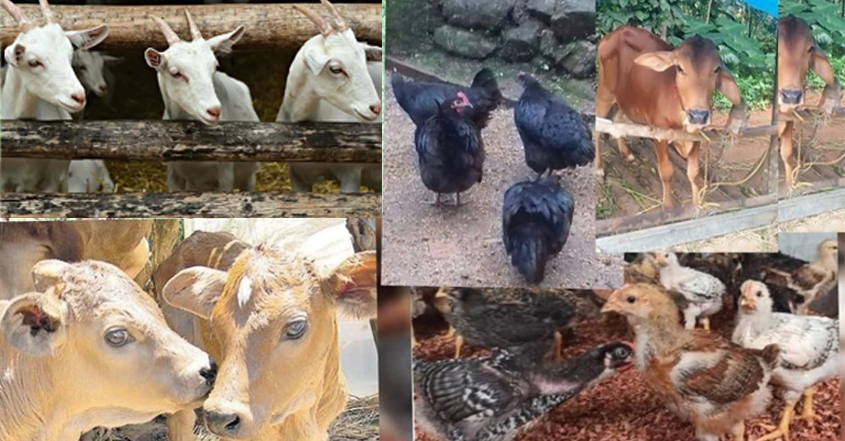 1 ലക്ഷം രൂപ ധനസഹായം തിരിച്ചടവ് ഇല്ല